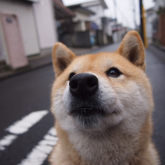 乒超联赛新赛季即将开打，乒超联赛最新