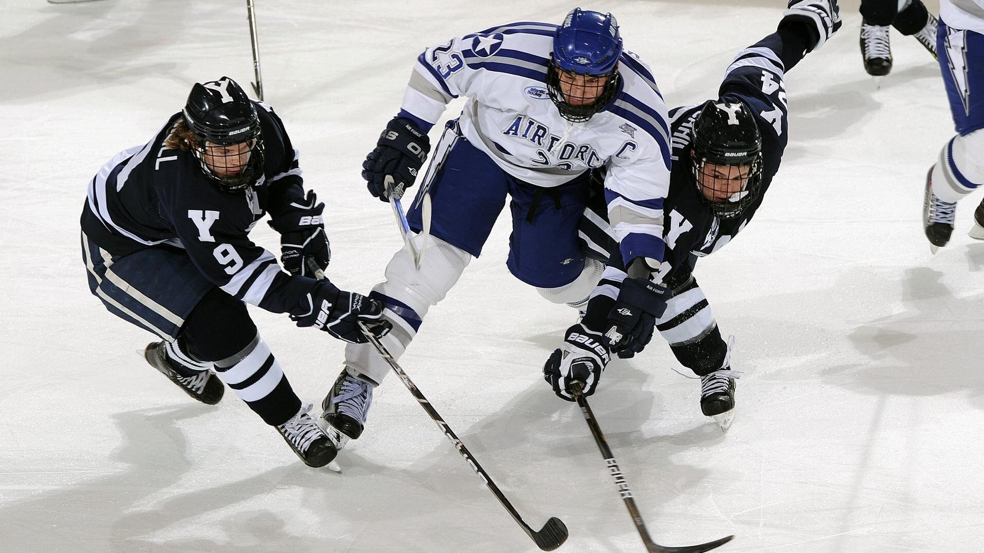 开云网页版登录入口-全民健身：城市马拉松报名人数创新高，赛道优化受好评，城市马拉松比赛